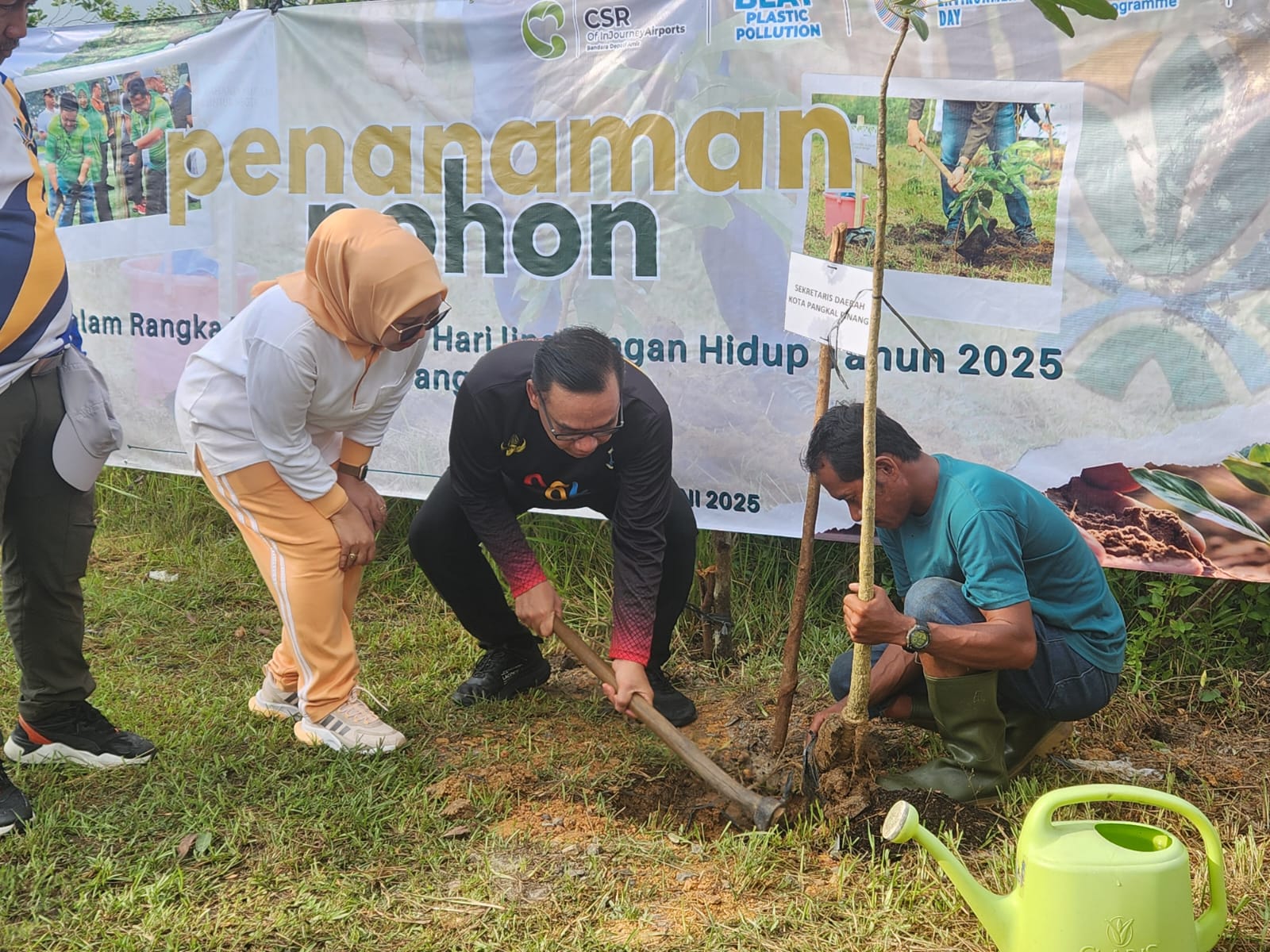 Taman Dealova Ditanami Pohon Tabubuya