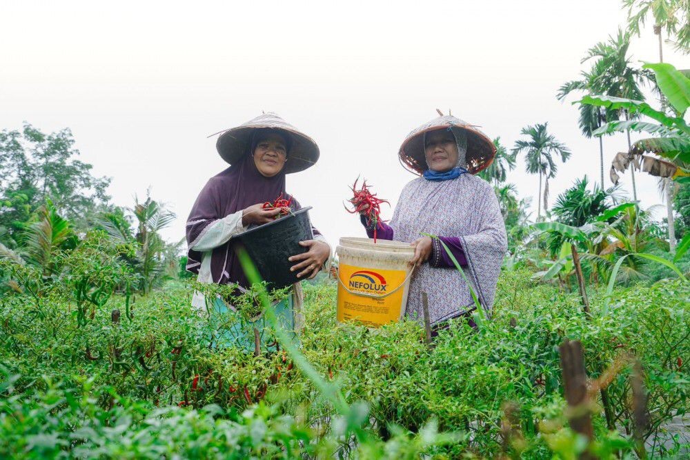 Nanas Badau hingga KUPS Garam Mudong Lestari, Keberhasilan Program PPM PT Timah
