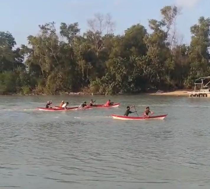 PT Timah dan HNSI Bangka Tanam Mangrove dan Gelar Lomba Dayung