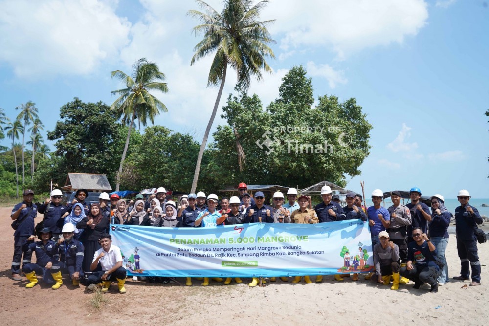 Kolaborasi dengan Karang Taruna Desa Rajik, PT Timah Tanam 5000 Mangrove di Pantai Batu Bedaun