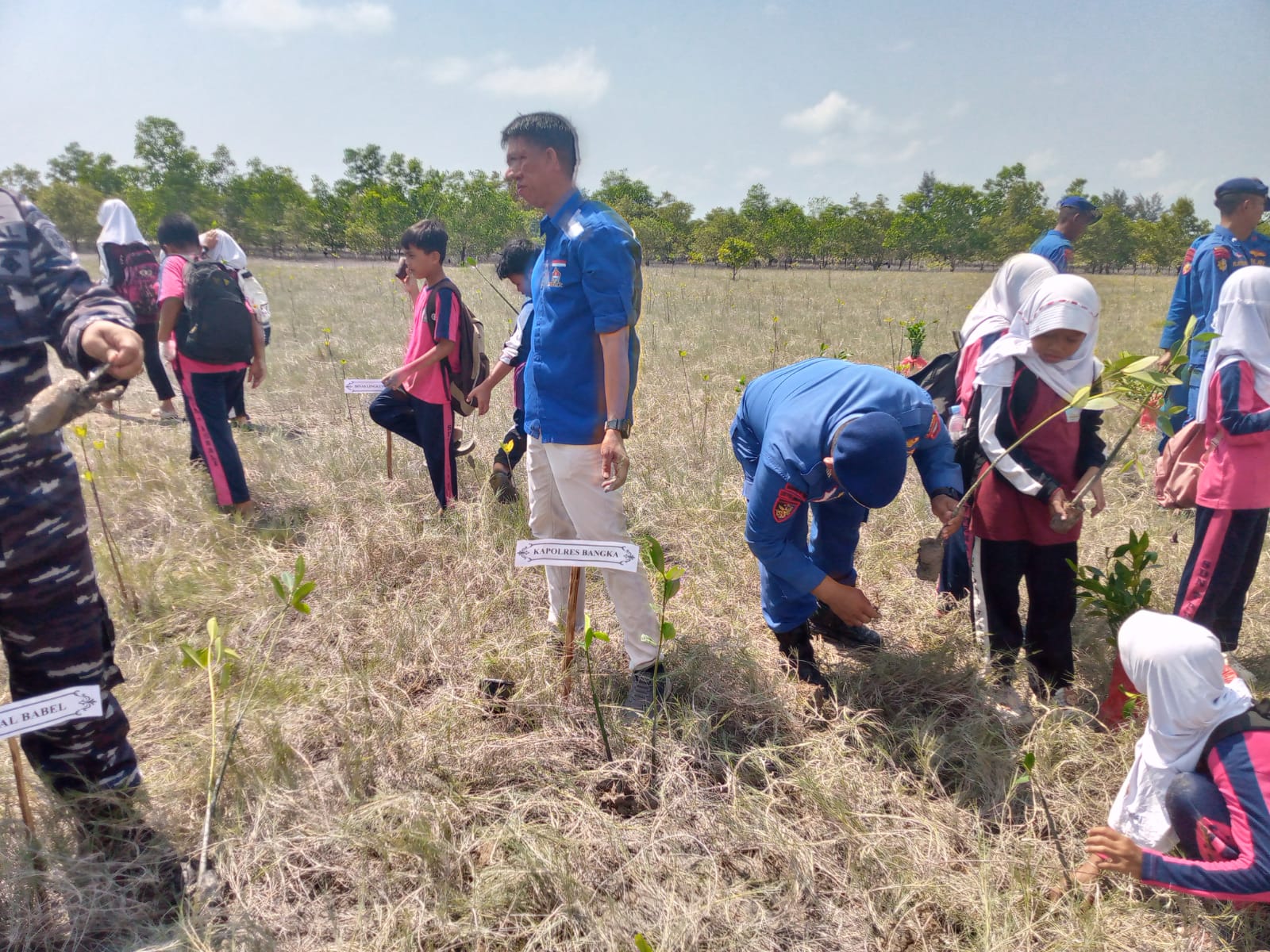 4 Ribu Mangrove Ditanam di Lingkungan Nelayan 2 Sungailiat