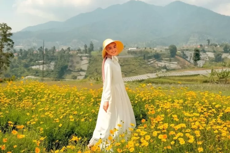 Pesona Tepi Gunung Nature Park, Tempat Wisata Baru di Bandung yang Estetik dengan Tumbuhan Bunga Cantik Berlatar Pegunungan