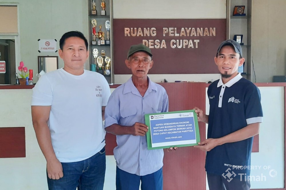 Perkuat Ketahanan Ekonomi, PT Timah Bantu Kelompok Ternak Ayam Potong di Desa Cupat