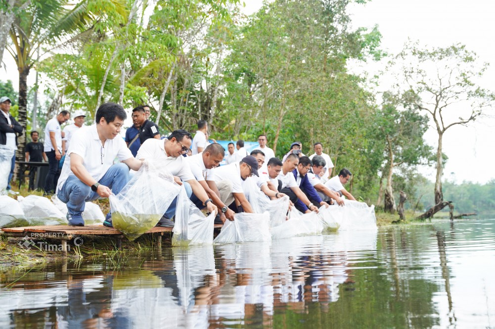 Belasan Ribu Ikan Ditebar di Enam Kolong Bekas Tambang