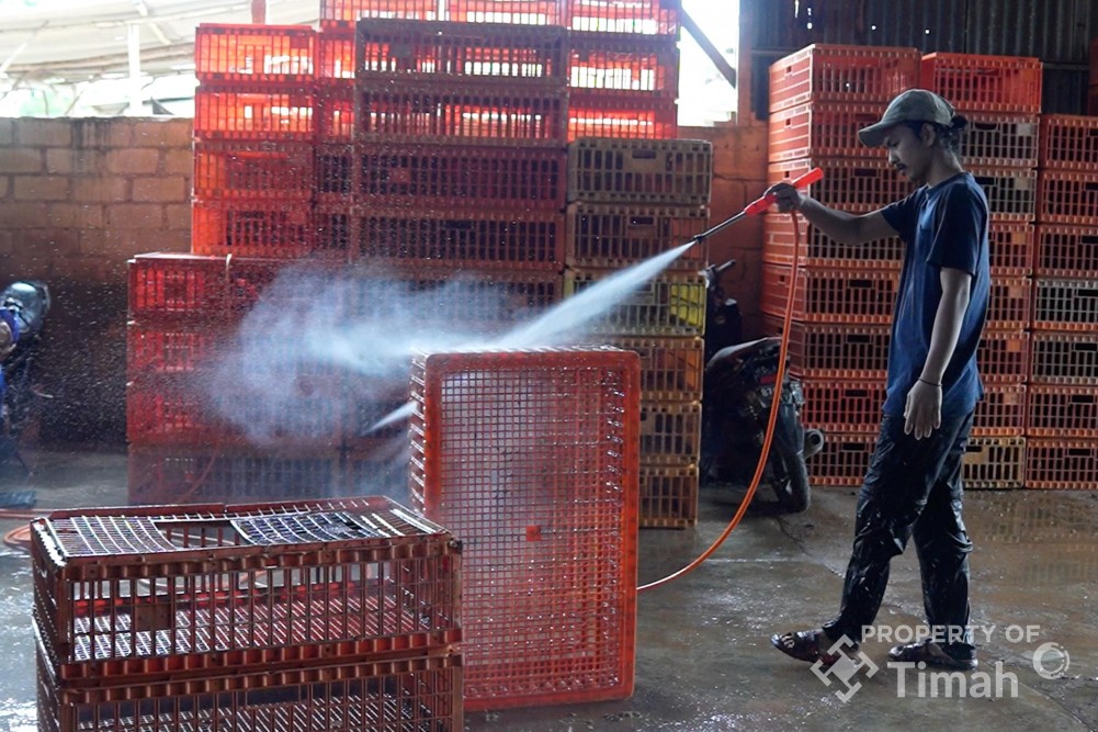 Dapat Bantuan Mesin Steam Air, Kebersihan Usaha Ayam Potong Afriani Kian Terjaga