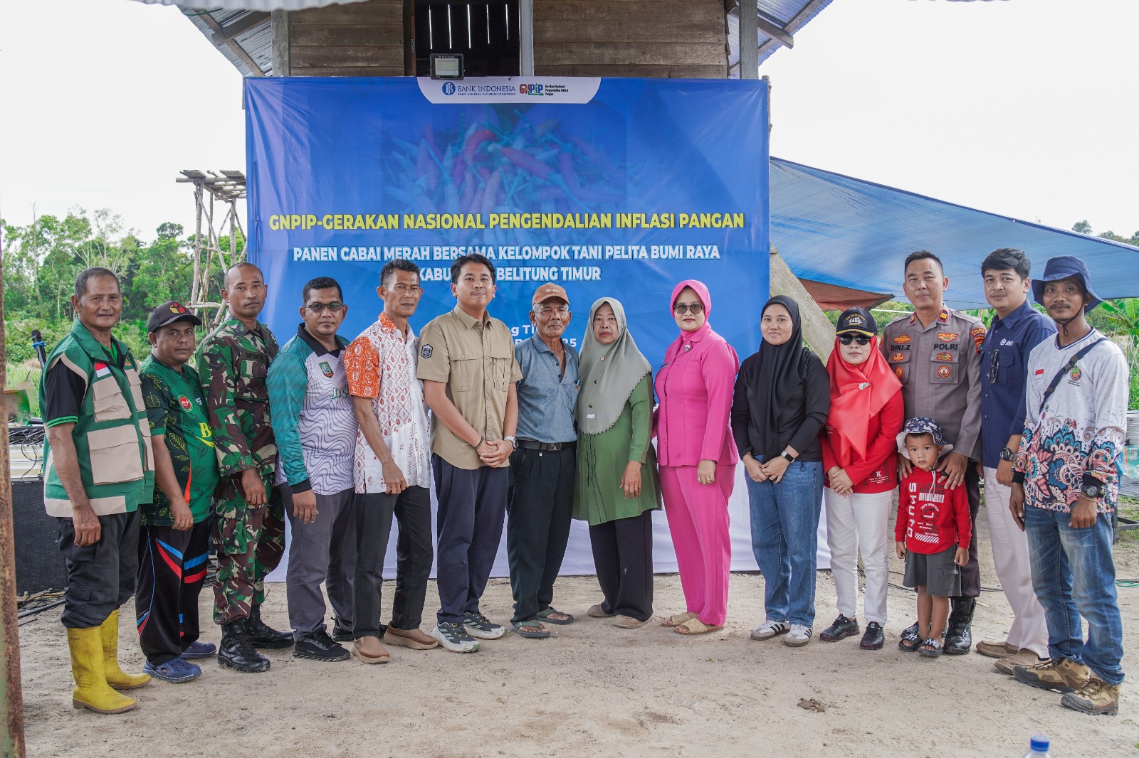 BI Babel Bersama Poktan Pelita Bumi Raya Panen Cabai di Desa Jangkang