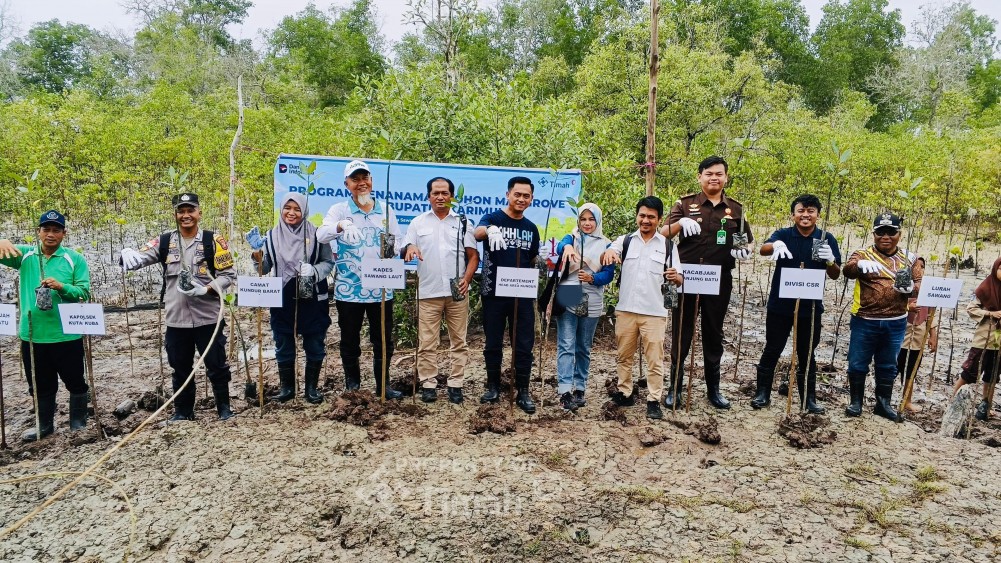 PT Timah Tanami 5 Ribu Mangrove di Pantai Kobel