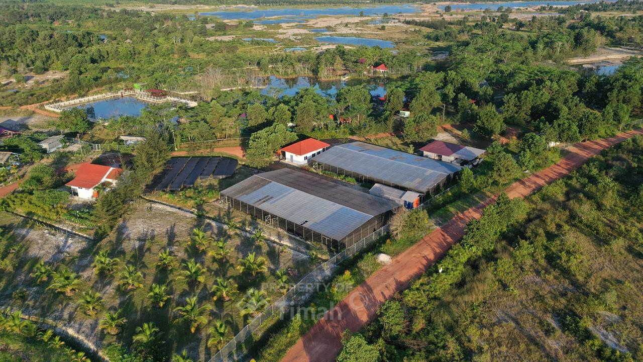 Upaya PT Timah dalam Menjaga Lingkungan