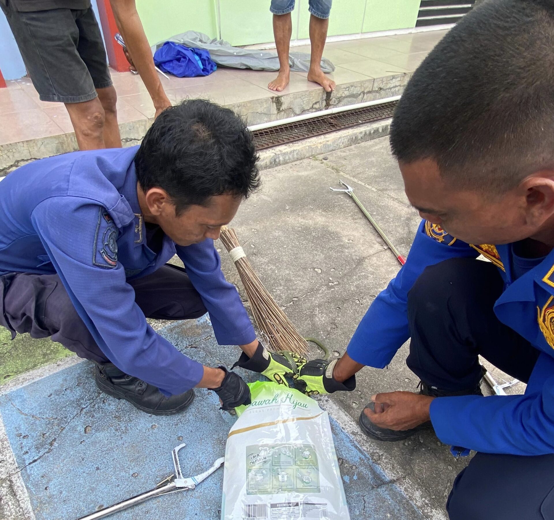 Ular Terbang 1,5 Meter Sembunyi di Box Motor, Tim Damkar Beraksi