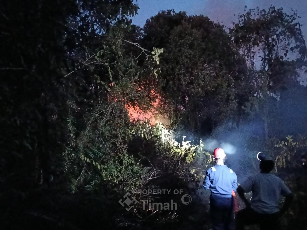 Lurah dan Camat Apresiasi Respon Cepat Damkar PT Timah Atasi Kebakaran di Sawangan