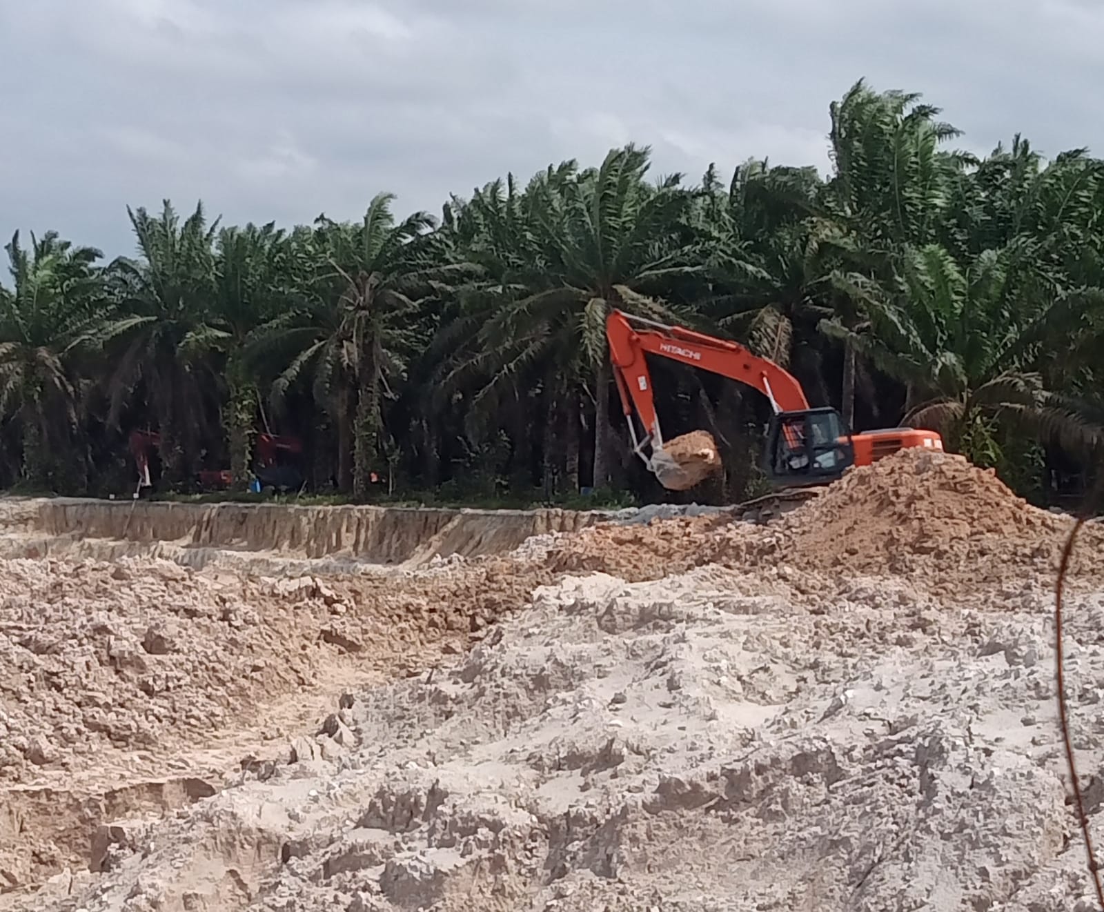 Takut Ditertibkan, Penambang Timah Ngaku Anggota Intel Korem