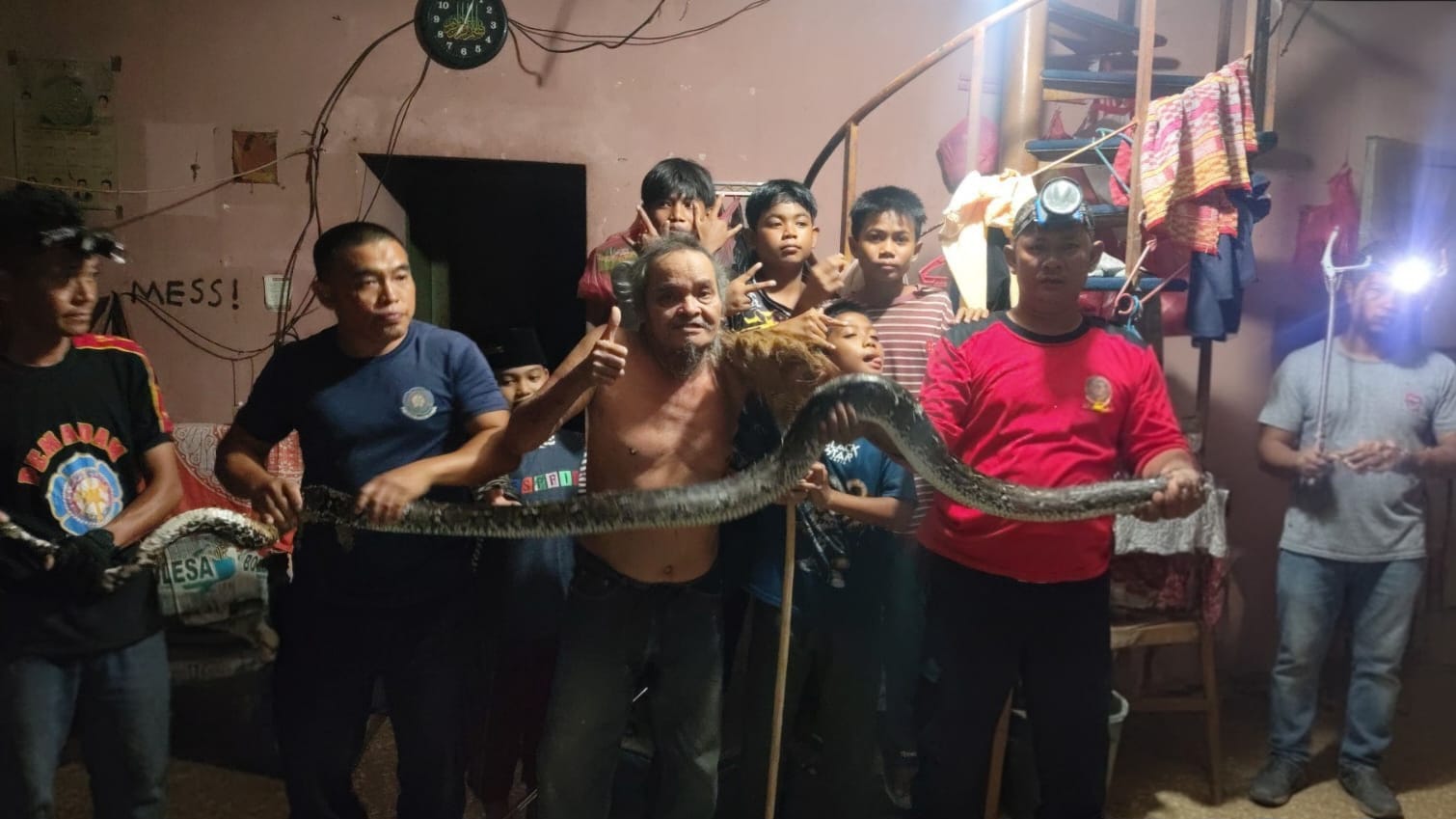 Ular Sanca 4 Meter Jatuh dari Plafon Rumah