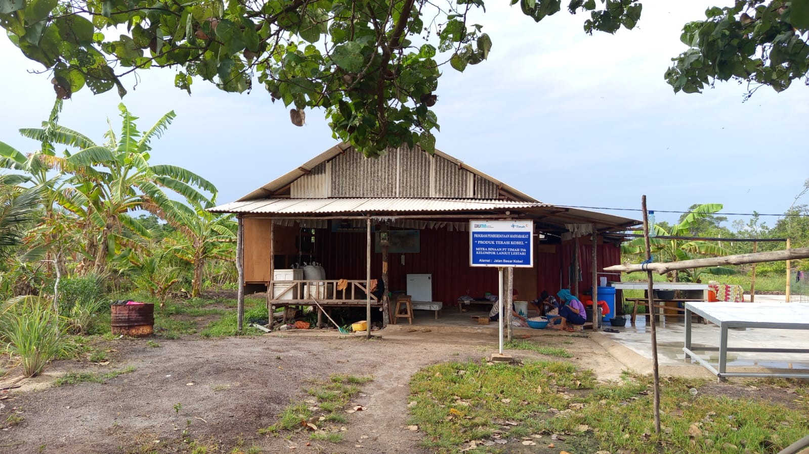 Belacan Cinta Mulai Dikenal Masyarakat