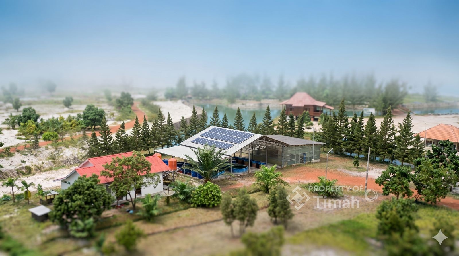 Menuju Tambang Hijau 2060, PT Timah Akselerasi Roadmap Dekarbonisasi Lewat Solar PV dan Biodiesel B100