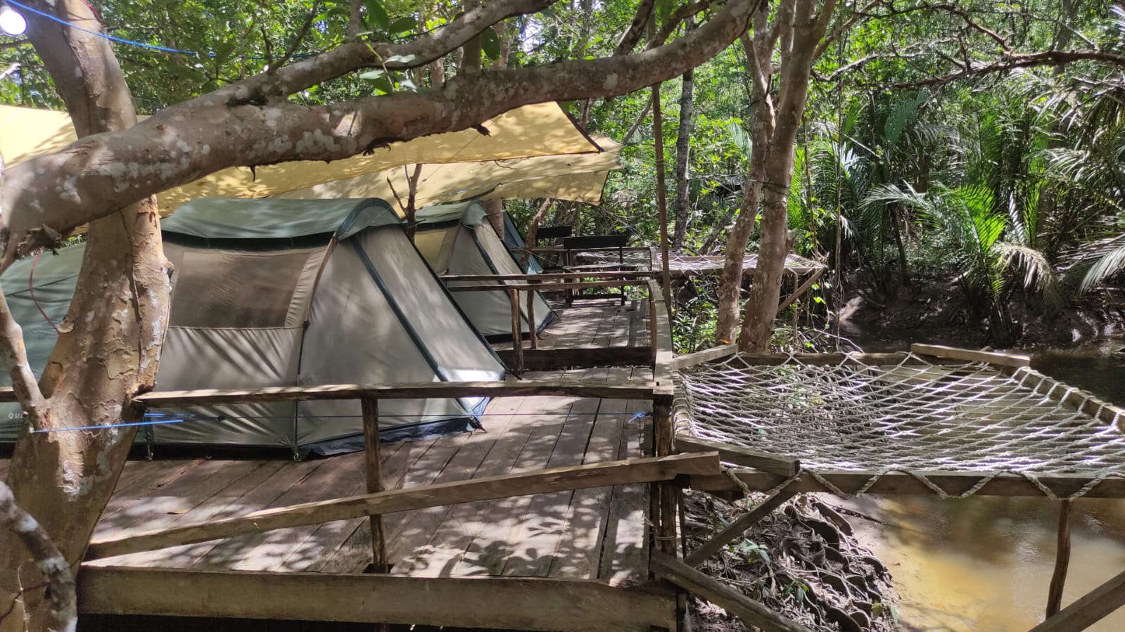Hutan Mangrove Munjang Kurau Barat: Spot Camping dan ‘Healing’ Paket Lengkap di Bangka Tengah