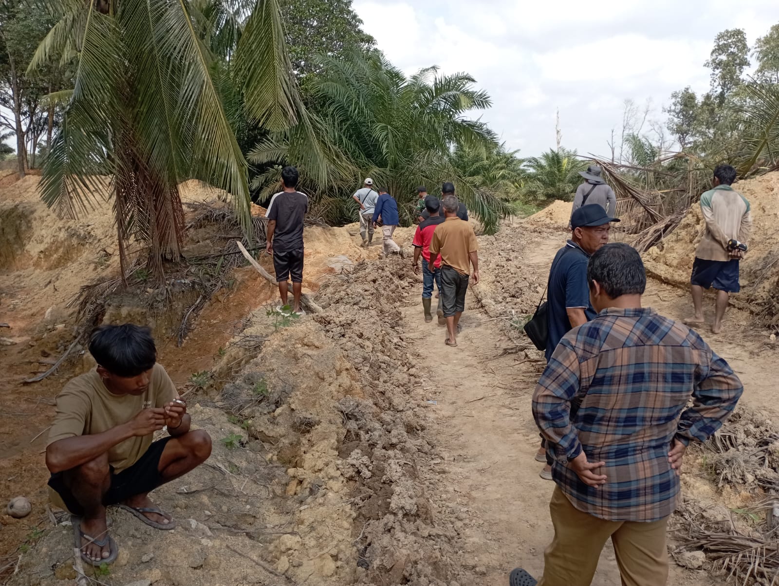 Pohon Sawit milik Warga Pemali Dibabat, Hilal Ganti Rugi Belum Nampak