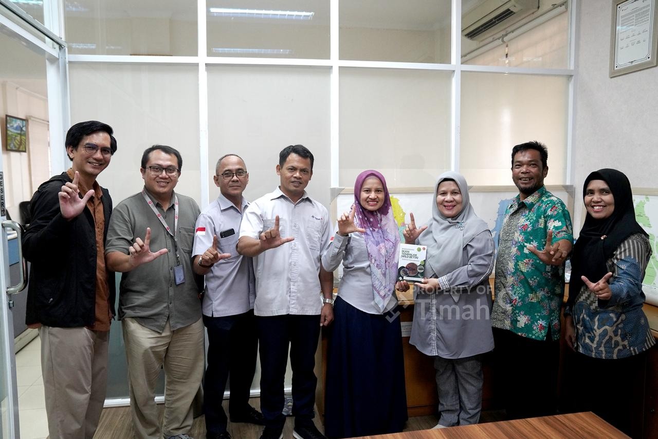 Hanya Ada di Bangka, Ikan Betta Burdigala Kini Berstatus Kritis