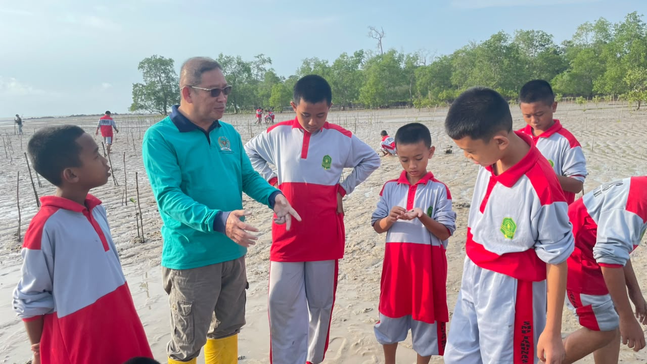 Tanam Mangrove di Hari Mangrove Sedunia, Siswa MumTas Koba Belajar Menjaga Pesisir