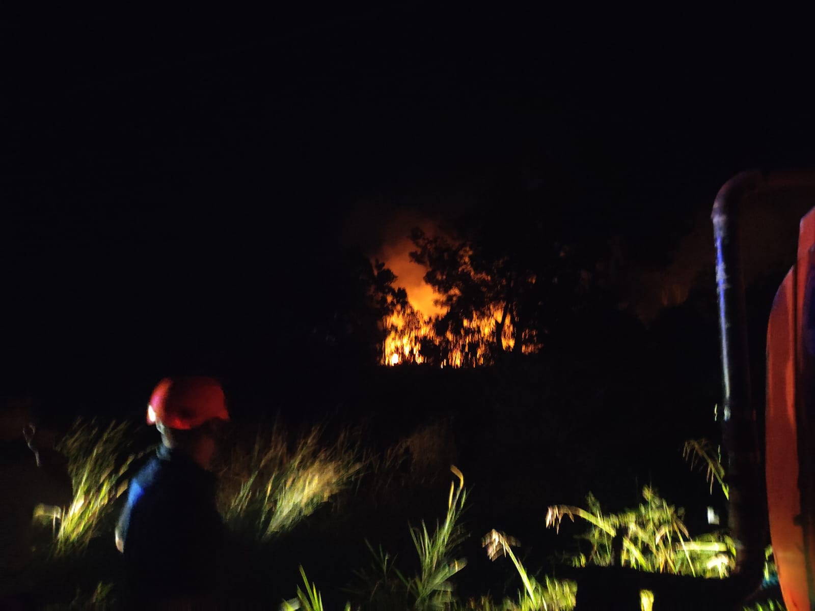 Kebakaran Hutan Eks PT Kobatin Nyaris Sambangi Sekolah dan Labkesmas, Api Sempat Muncul di Dua Titik