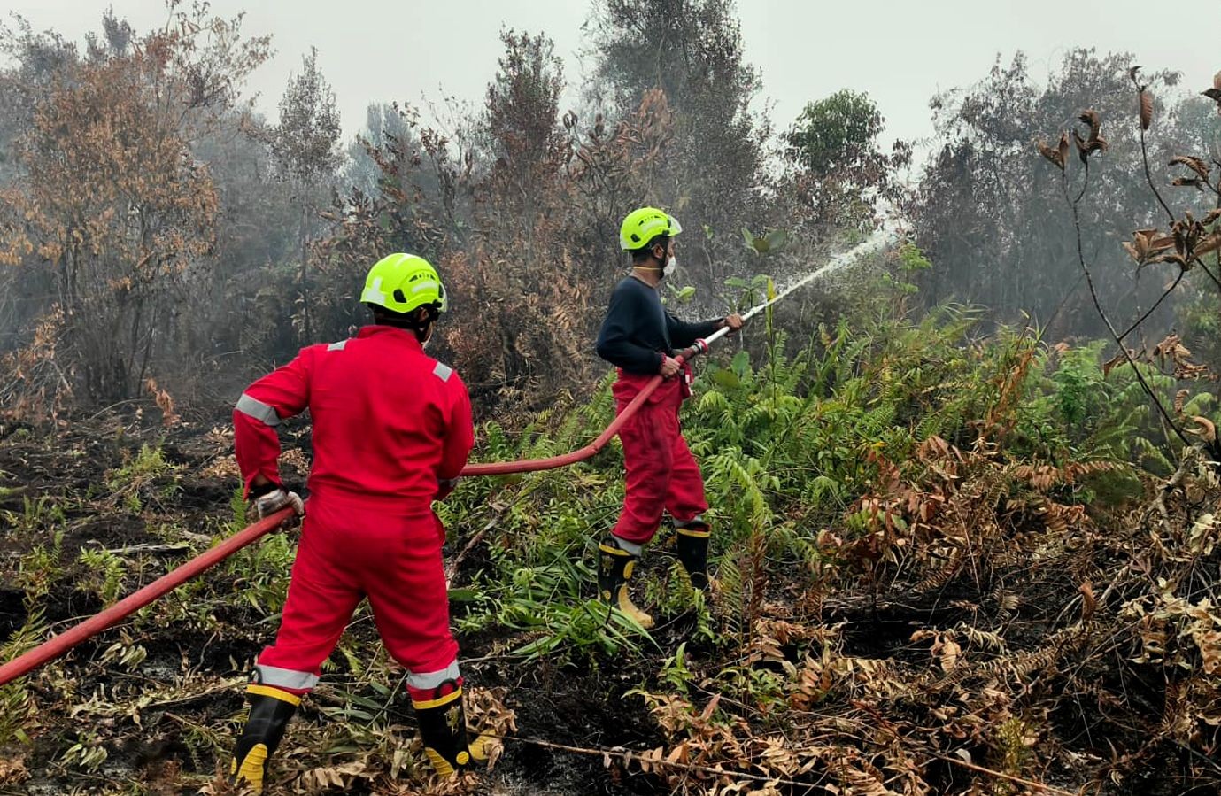 15 Fire Fighter PT Timah Dikerahkan ke Kalbar, Bantu Jinakkan Karhutla