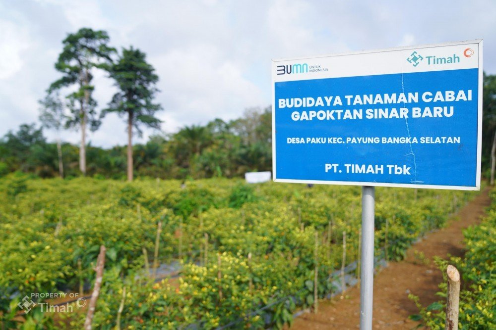 Bukan Sekadar Bagi Bantuan, PT Timah Dorong Petani dan Ibu Rumah Tangga Hasilkan Cuan dari Pangan