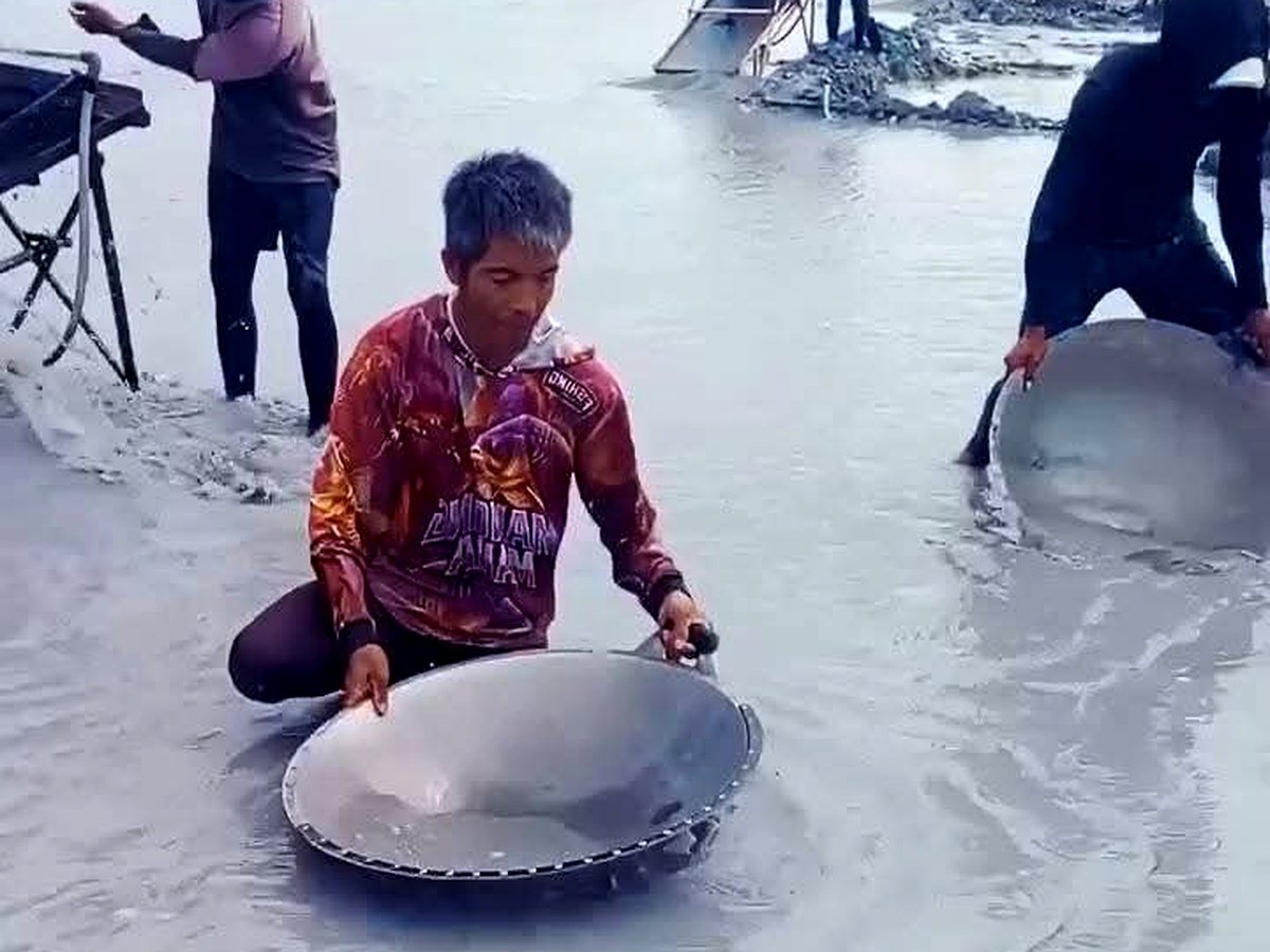 Harga Timah Dunia Tembus Rp800 Juta per Ton, Penambang Rakyat Bangka Belum Tentu Ikut Sejahtera